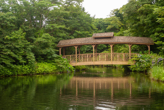 제주도 에코랜드 jeju ecoland