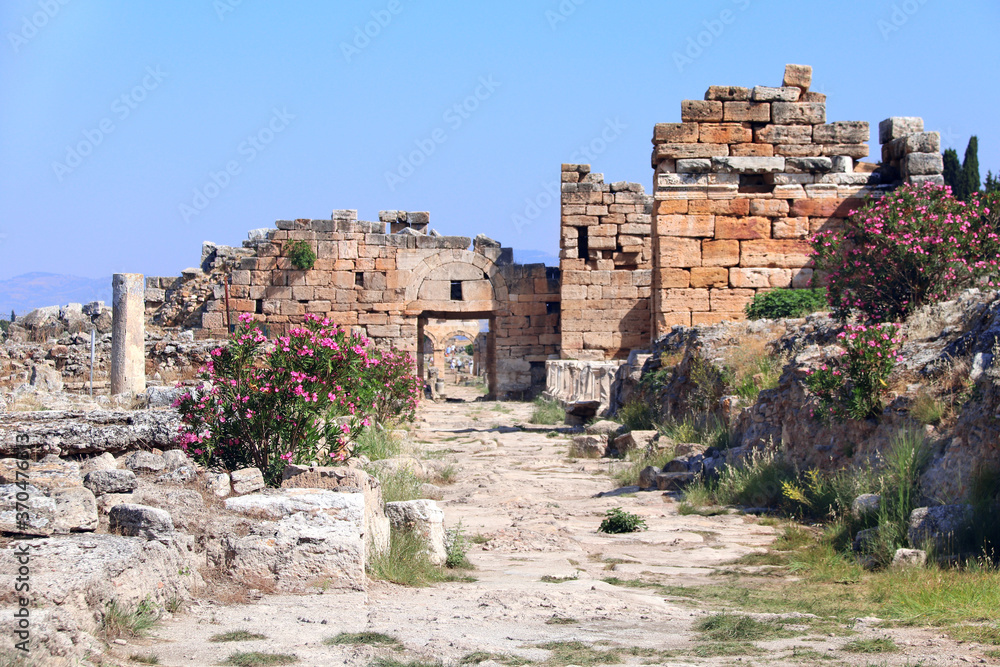 Canvas Prints ruins of temple on frontinus street, hierapolis, pamukkale, turkey