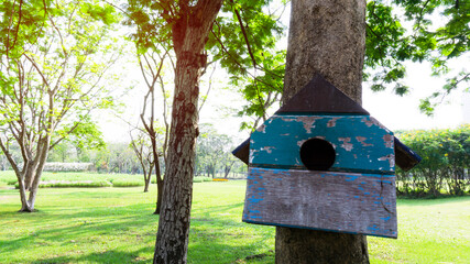 Wooden Squirrel's house dwelling hanging on the tree 