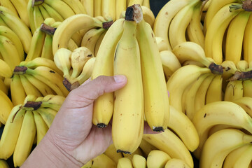 Hand holding a bunch of yellow banana on a local market stall