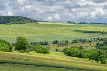 Fototapeta na wymiar landscape with green field