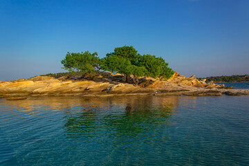 Obraz premium south landscape photography of summer shore line of Greece Aegean sea bay picturesque vivid green tropic tree growing up from rocks in clear weather day