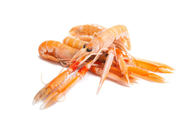 boiled lobster isolated