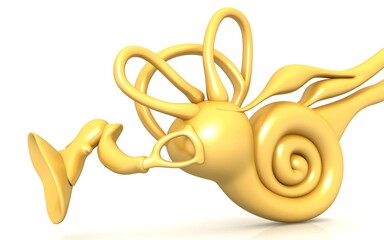 3D illustration of inner ear . Cochlea in color background