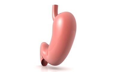 3D illustration of stomach in white background