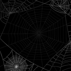 White spiderweb and shadow spiderweb on black background.
