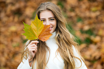 Fashion autumn portrait woman hides her face yellow maple leaves. Pretty tenderness model looking...