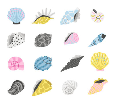 Marine seashells. Cartoon sea shell objects, hand drawn colorful shells, elements of concept of ocean treasure and beach sand coast, ocean items vector illustration isolated on whit