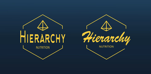 Hierarchy nutrition polygonal honeycomb hexagon vector logo design with pyramid.Yellow and gradient blue colors.Lettering text.