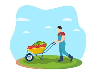 Farming man pushing wheelbarrow with cabbage, peppers, tomatoes. Natural and tasty food. Organic farm products. male working on harvesting season. Vector illustration in flat style