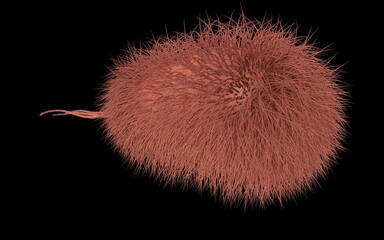3D illustration of E.coli Bacteria isolated on dark background