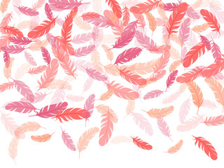 Falling feather elements soft vector design.