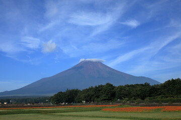 Fototapeta premium Mt.Fuji, when it has a red appearance 