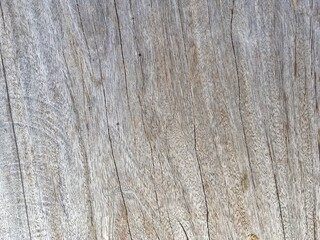 Fototapeta premium wood texture background
