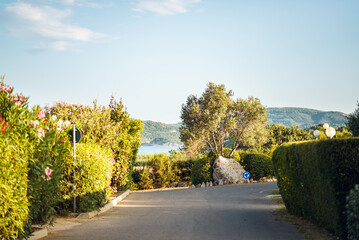 Fototapeta premium Empty Road on Sardinia. Italy. Hotel's Territory.