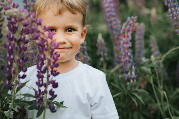 portrait of a cute little happy four year old kid boy with bloom flowers lupines in a field in...