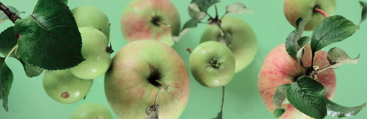 Flying in air Green fresh whole and leaves over green background and light, food levitation concept