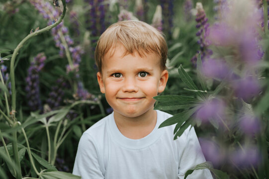 portrait of a cute little happy four year old kid boy with bloom flowers lupines in a field in nature outdoor