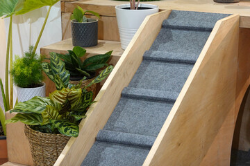 A Wooden ladder for cats to get out of the 2st floor. 
the interior of the cat house       