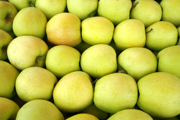 fresh green apples on the table