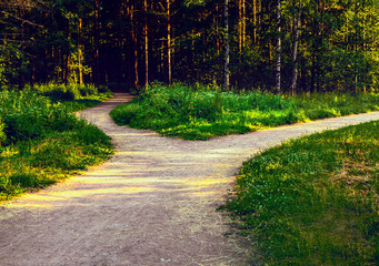 Divergence of directions. The wide path in the park is divided into two trails.