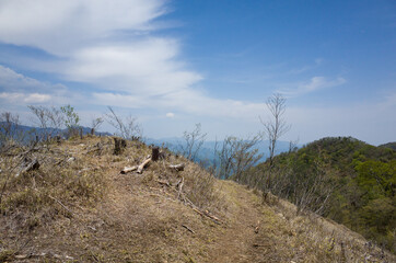 Trail near the summit of Mt.Honjagamaru, Yamanashi Prefecture, Japan.