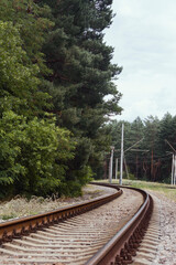 The railroad tracks in the forest. Empty rail track surrounded by trees.