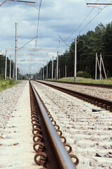 The railroad tracks in the forest