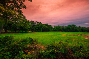 Natural background, high angle from the high mountains that can see the scenery around, the wind blows through the cool, blurred of traveling, the integrity of the moist forest.