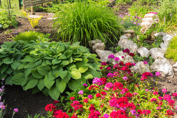 flowers in the garden