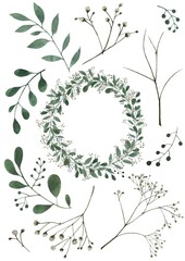 Obraz premium Eucalyptus and gypsophila (baby’s breath) wreath and flower elements Набор «Эвкалипт и Гипсофила»