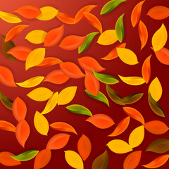 Naklejka na ściany i meble Falling autumn leaves. Red, yellow, green, brown n