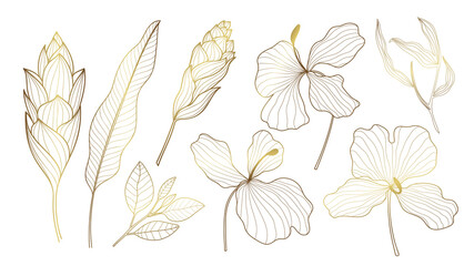 Fototapeta na wymiar Luxury Gold Tropical collection with exotic flowers and leaves. Vector design isolated elements on the white background.