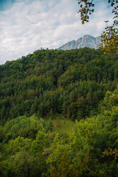 parque natural cadi moixero