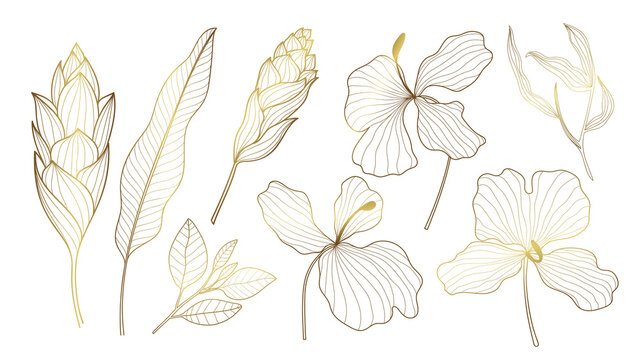 Luxury Gold Tropical collection with exotic flowers and leaves. Vector design isolated elements on the white background.