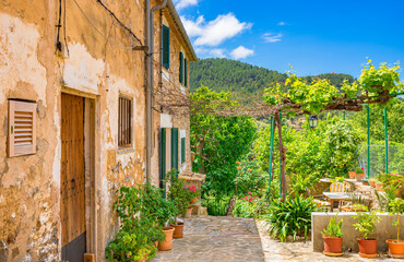 Fototapeta na wymiar Rustic mediterranean houses with beautiful front yard and potted plants