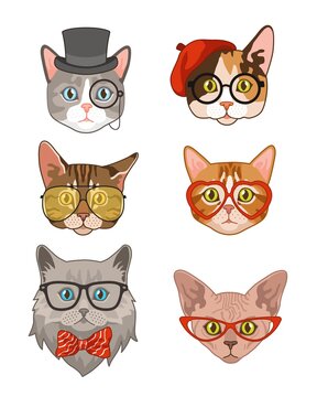 Hipster cat. Funny cats avatar with hats and bow tie, glasses and sunglasses, animals portrait fashion characters collection, vintage kitten trendy t-shirt print flat cartoon vector isolated set