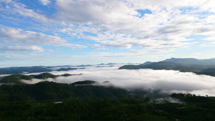 Fototapeta na wymiar Sea of clouds | Foggy Forest