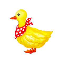 yellow little duck red scarf cartoon drawing watercolor painting illustration design