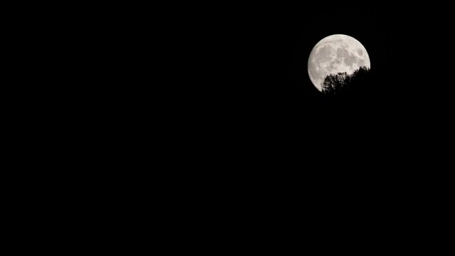 Angri, Italy. Timelapse Video. Vary close full moon appears from behind a mountain revealing the trees silhouette on the ridge, while it seems to climb the mountain.