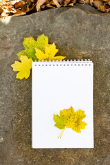 Notepad lies on a stone and bright yellow green carved leaves background