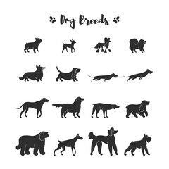 Set icons of dogs. Different breeds. Black silhouette.