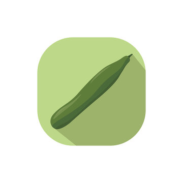 green cucumber on green square clip art preview