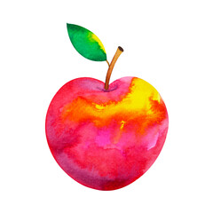 art red apple watercolor paintig illustration design drawing clipping path