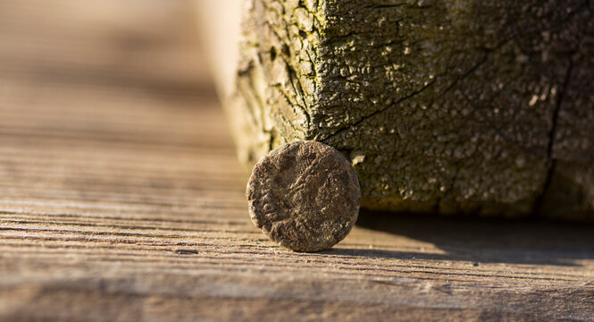 Byzantine copper coins from the reign of Emperor Justinian 1. Excavations of the winery in the ancient fortress of the 5th century in the town of Byala. Pentanummium.