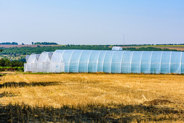 Greenhouse made with metal frame and polyethylene film at the farm