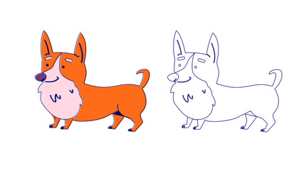 Cute corgi dog monochrome and color set vector flat illustration. Coloring page for kids.
