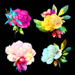 Peony flowers. Illustration of four elements with leaf for fabric, textile and other prints. Abstract, watercolor. Hand drawn. Vector - stock.