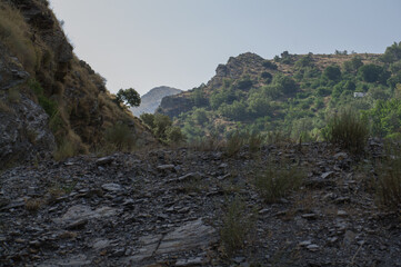 krajobraz góry drzewa niebo widok szczyty