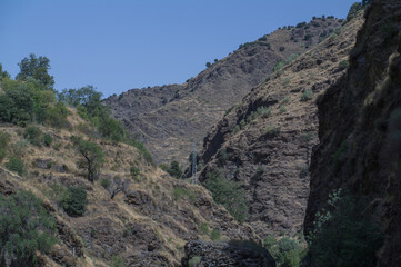 krajobraz g&oacute;ry drzewa niebo widok szczyty